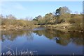 The confluence of the River Tweed and the River Till