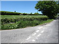 The Ballintemple Road junction on the Carrickgallogly Road