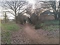 The old railway track between Stanmore and Belmont