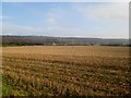 Over  stubble  field  to  Wood  House  Farm