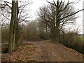 Bend in farm track, Clays Plantation