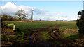 Farmland and muddy footpath