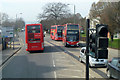 Buses on A207 Crook Log