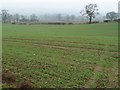 Farmland west of Dick Scot Lane