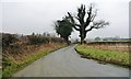 Dick Scot Lane, heading west towards Dalton