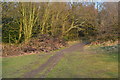 Path into woodland at The Lops