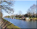 Bridgewater Canal