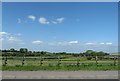 Farmland on the north side of the A28 close to the Markethill Road junction