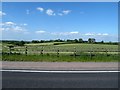 Hay fields on the north side of the A28