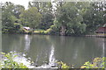 View across the River Thames