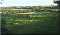 Fields near Bullaford