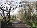 Footpath along the line of the former Merton Park to Tooting railway line