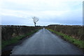 NS3530 : Road to Fullarton by Billy McCrorie