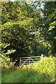 Gate into wood, Hilltown Hill