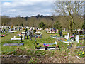 Part of Islington and Camden Cemeteries