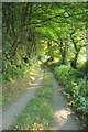 Lane to Coombe Farm