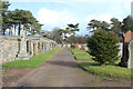 Cemetery, Troon