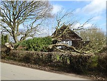 SO8742 : Tree fallen on Earl's Croome Village Hall #4 by Philip Halling