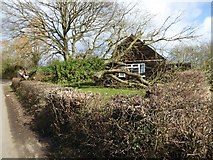 SO8742 : Tree fallen on Earl's Croome Village Hall #6 by Philip Halling