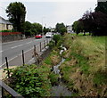 East along East Brook, Dinas Powys