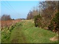 Path above New Bonhill