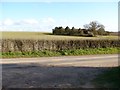 Hidden barn - Itchen Stoke Down