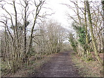 SN9507 : On the former Penderyn Quarry Line by Gareth James