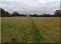 Path across a field