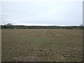 Flat farmland off Aston Lane