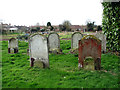 Allotments adjoining Aylsham Cemetery