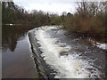 S5058 : Bleach Road Weir, Kilkenny by Redmond O'Brien