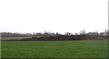 SP4095 : Log pile, Wykin Hall Farm by JThomas