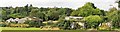 Derelict farm buildings, Pembury