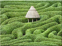 SW7727 : The summerhouse in the centre of the laurel maze at Glendurgan Gardens by Rod Allday