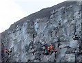 Cliff work at Brixham