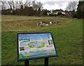 Mini wetland on the Aylestone Playing Fields