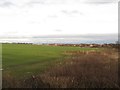 Arable field, Palmersville