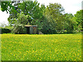 Old railway van in paddock