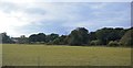 Farmland near Turner