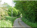 Lane east of Molehill Green