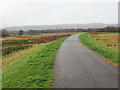 Llwybr Beicio / Cycle Path