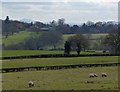 Farmland near Park Attwood Farm