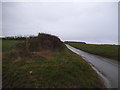 Chalk Hill near Cockernhoe