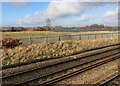 View from a Peterborough-London train - fields around a solar farm