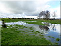 Reflections, Mullaghmenagh Upper