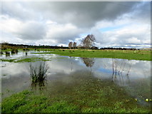 H4373 : Flooded ground, Mullaghmenagh Upper by Kenneth  Allen
