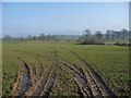 Farmland between Coat Sike and the River Lyvennet