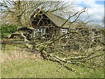 SO8742 : Aftermath of storm Doris #1 by Philip Halling