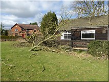 SO8742 : Aftermath of storm Doris #3 by Philip Halling