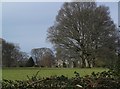 Plas Newydd Hall